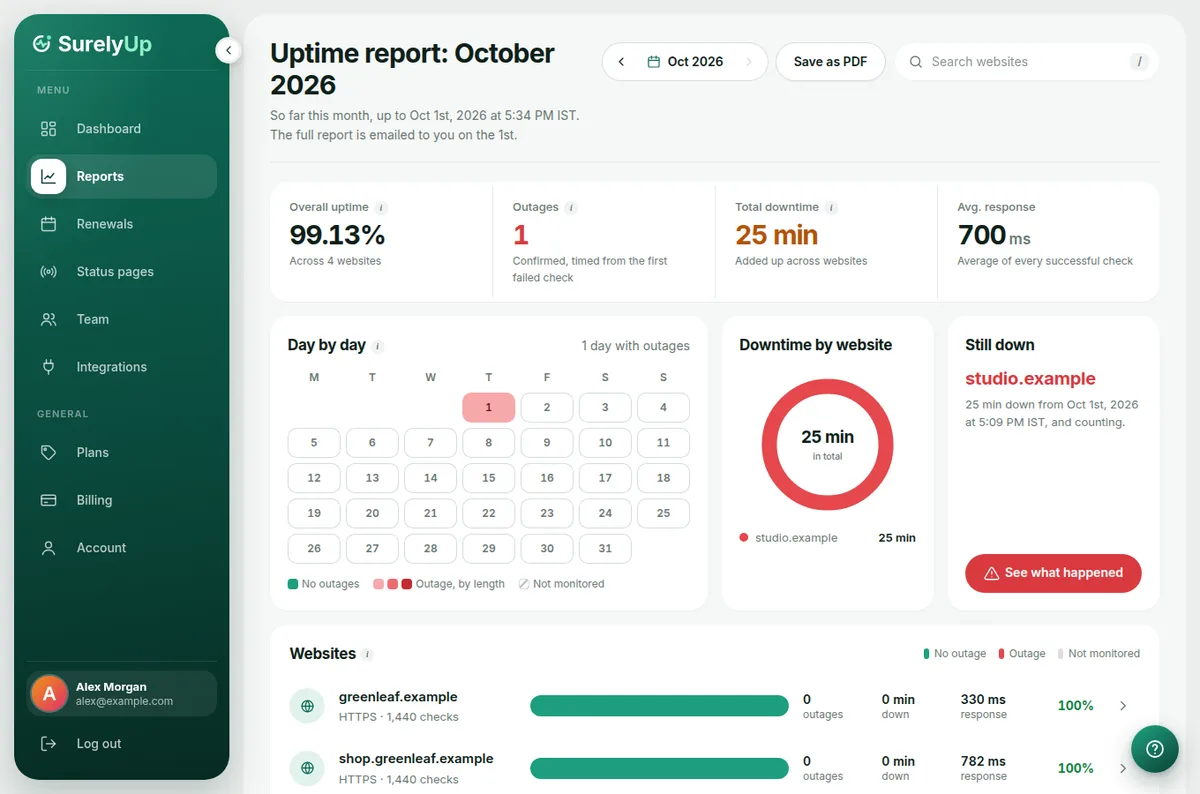 The Reports page with uptime numbers, a month calendar and downtime by website
