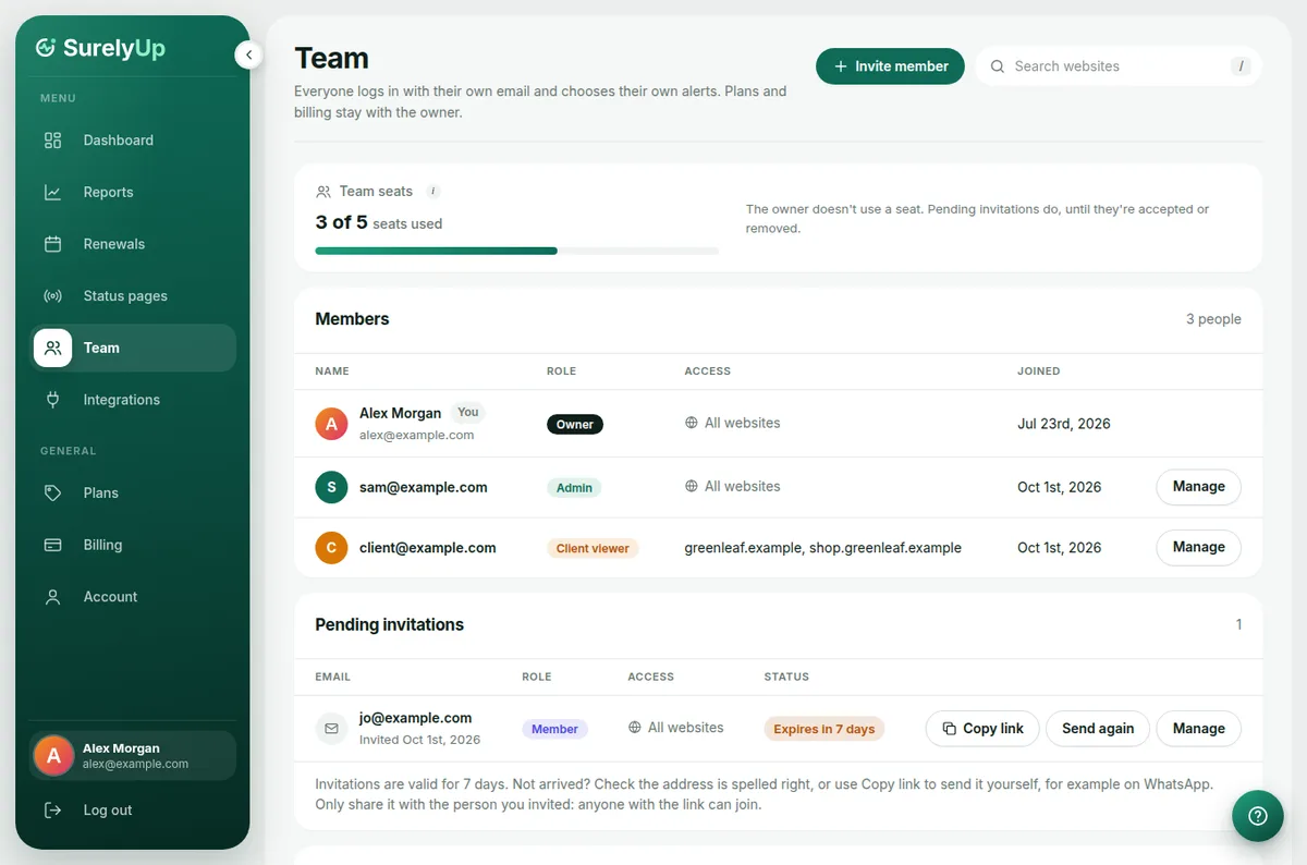 The Team page with members, their roles and pending invitations